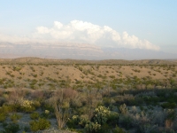 Evening in the desert